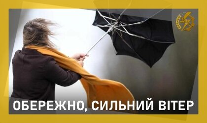 АТ «Вінницяобленерго» – особистий кабінет, передати покази лічильника, кол-центр 0 (800) 30-95-95 Новини_7